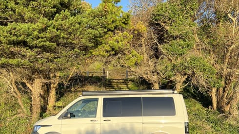 Vw T6 Swamper 
