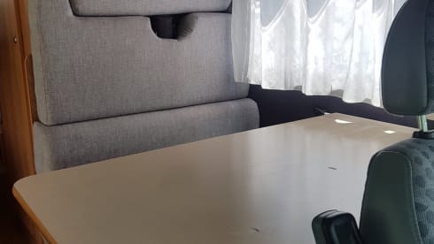 Nasenbär – old lady