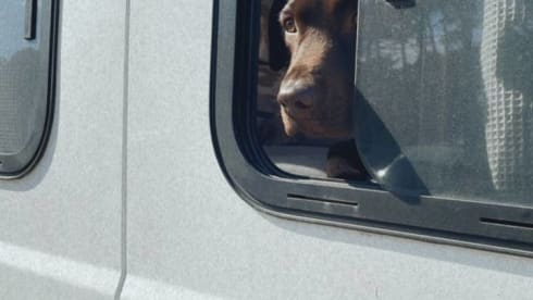 Bruno – Feel-good camper