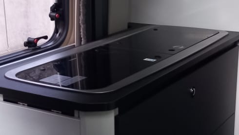 Petunia – The freedom to live in all the wonderful places.