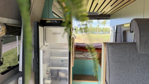 Bennie – Bennie: Fiat Campervan (Automatic) - Pet Friendly - 4 Persons