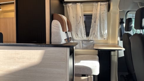 Duke III – 3p Rimor bus from 2025