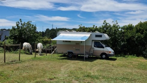 Camper Lua – 5p Ford alcove uit 1999