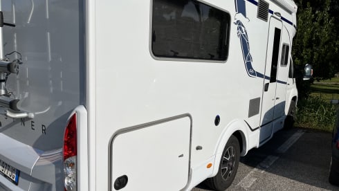 Mik – Bustner Delfin