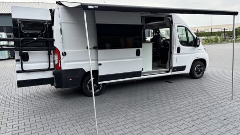 Ducventure2 – 3p Fiat bus from 2019