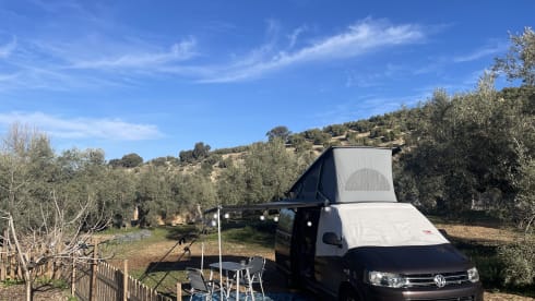 VW California T5 Comfortline 140hp diesel