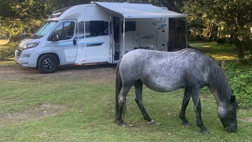 Wanderlust – Modern 6-Berth Motorhome with 5 Seatbelts - Your Adventure Awaits!