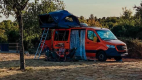 Sien  – 4p Mercedes-Benz bus uit 2021