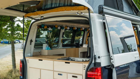 NEW Exclusive VW Bus Camper