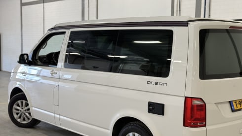 Cali  – Volkswagen California T6 (Factory Camper, original)