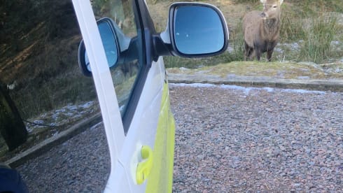 Sunshine  – Sunshine un T6.1 4 couchages Assurance incluse.