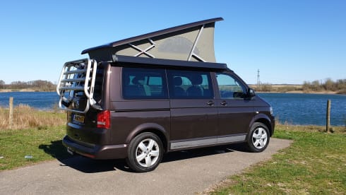 Bruin – Volkswagen T5 California Bus camper with pop-top roof.