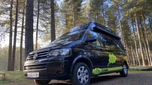 Rolo – T5 VW (2010), Black High Top (LWB)