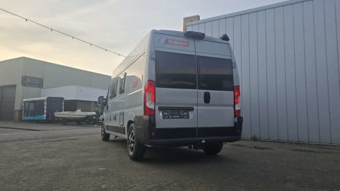 The nardo grey lander  – 2p Carado bus from 2019