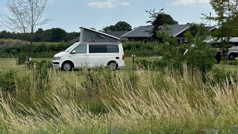 Cali  – Volkswagen California T6 (Factory Camper, original)