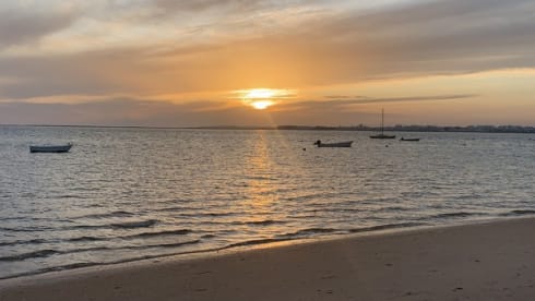 Charlie – Mercedes Charlie 308D