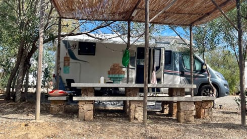 Rapido – Modern 4p Rapido 696F premium edition