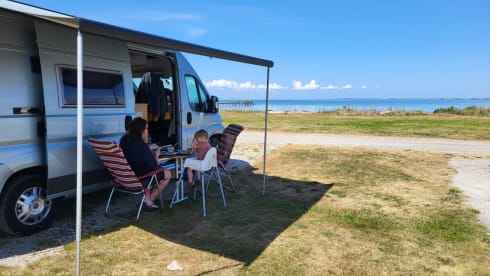Blue Bird – Four-person EuraMobil Bus Camper