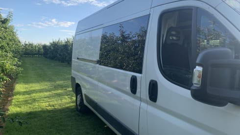 Peugeot Boxer L4 uit 2016  – Jungle Vibes with YPKE