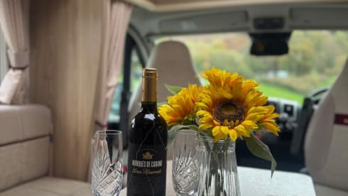 Cezar&Cleo – Eldis Majestic 185 , 4 Berth and 4 belt