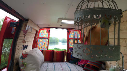 On the road with Red Hot Chili Pepper bus (2 persons)