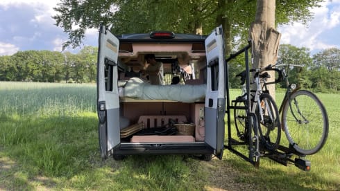 Roze Roadtripper – Camping-car bus modulable pour 4 personnes 