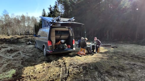 NOUVEAU VW CALIFORNIA AVEC PORTE-VÉLOS