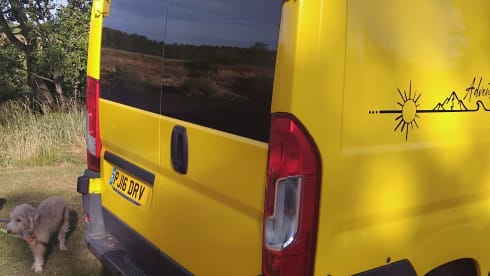 Big Yellow – Citroen Relay 2016