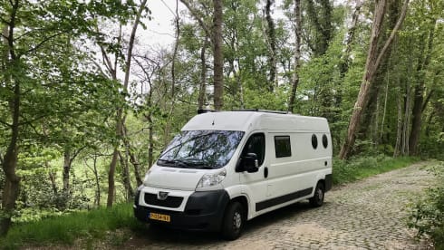 Bus camper 1