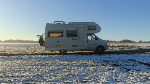 Freedom – VW t4 Carthago 