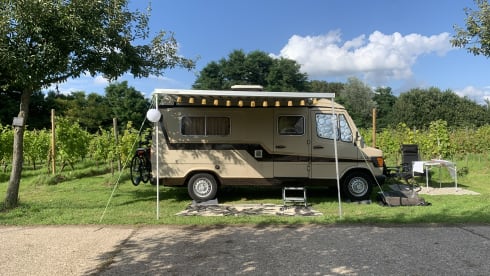 Sjaak  – 2p Mercedes-Benz bus oldtimer from 1979
