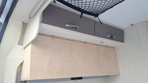 2p Fiat bus from 2017