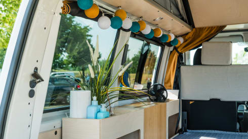 NEW Exclusive VW Bus Camper
