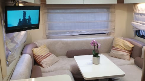 Rolly – 6 berth Roller Team alcove from 2015