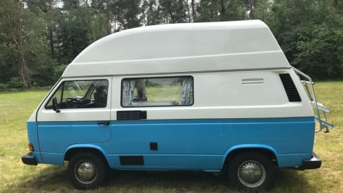Frenk – Frenk, a beautiful T3 camper is looking for travel companions