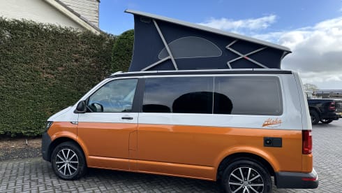 Camper Bronze – p Volkswagen bus from 2018