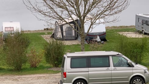 Travis – 4p Volkswagen campervan from 2016