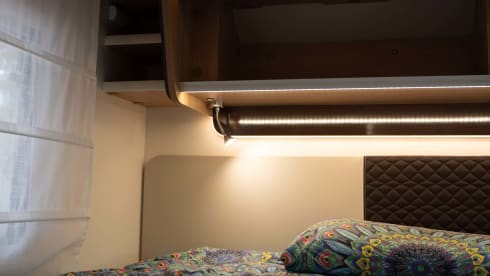 Franky – Rent Me:)