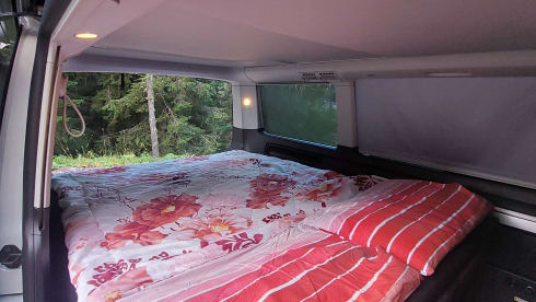 Adventure_van_rent – VW California T6.1 Beach