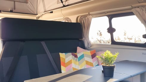  Ford Westfalia Nugget – 4p Westfalia Nugget from 2022