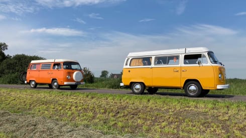 Orange  – Hip Orange retro Volkswagen T-2 Camper