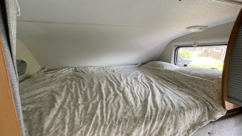 Molly – Molly (spacious and heated!)