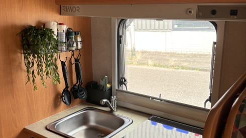 Rickie  – 5p Rimor alcove from 2000