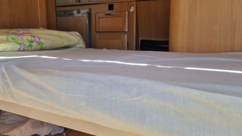 Danilo camper – Novice camper