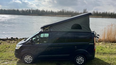 Nuggy  – 4p Ford bus from 2018