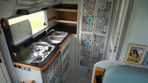 Fijne Frankia camper