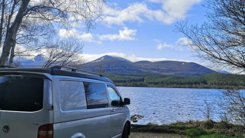 Dolly – 4 berth Volkswagen bus from 2007