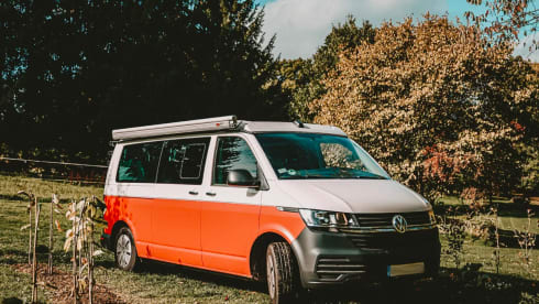 Lissbätt – VW T6.1 – Der Wohlfühl-Camper mit viel Platz!