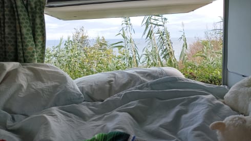 Bertha β 3p Ford bus from 1992