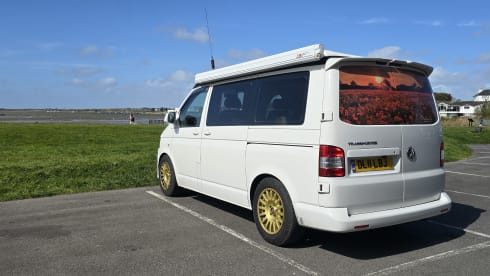 Lola – Camping-car Volkswagen 4 places de 2011